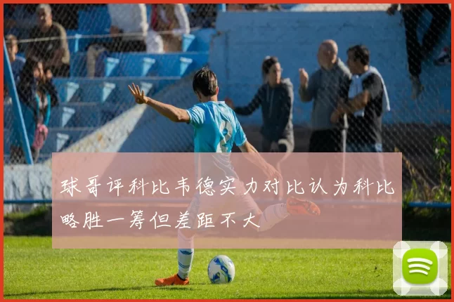 球哥评科比韦德实力对比认为科比略胜一筹但差距不大